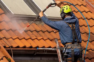Démoussage et hydrofuge de toiture à Lanespède